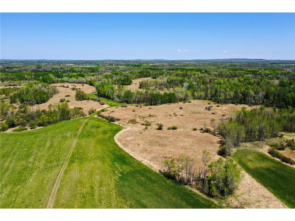 TBD 140th Street Evergreen Twp MN 56544 7085728 image24