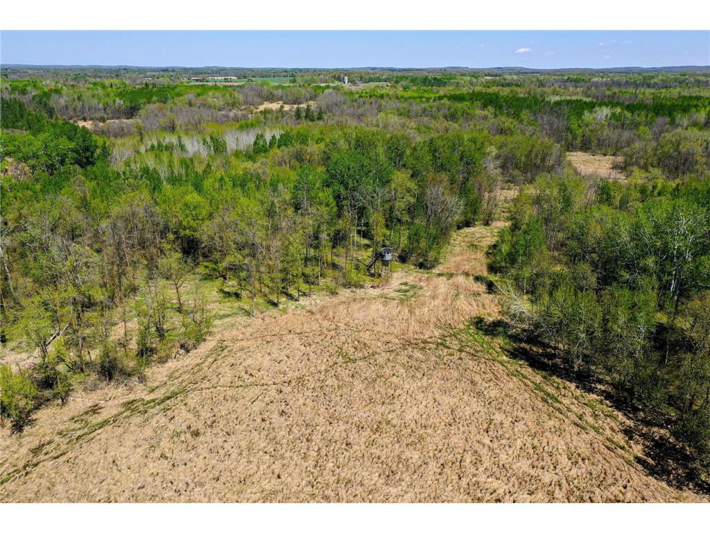 TBD 140th Street Evergreen Twp MN 56544 7085728 image27