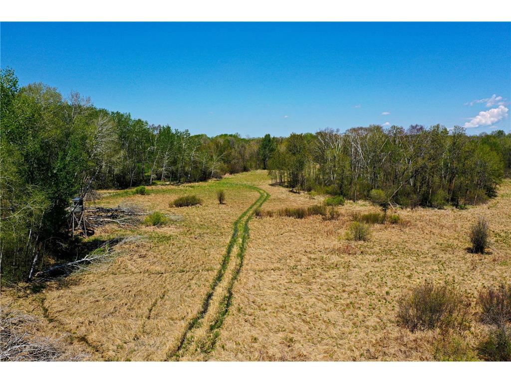 TBD 140th Street Evergreen Twp MN 56544 7085728 image34
