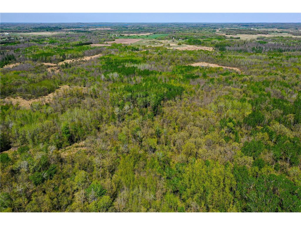 TBD 140th Street Evergreen Twp MN 56544 7085728 image36
