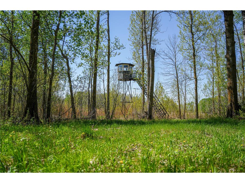 TBD 140th Street Evergreen Twp MN 56544 7085728 image37
