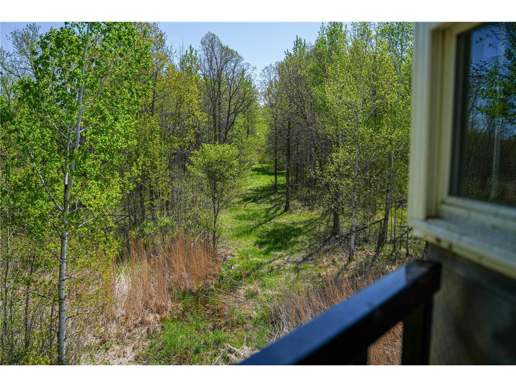 TBD 140th Street Evergreen Twp MN 56544 7085728 image41