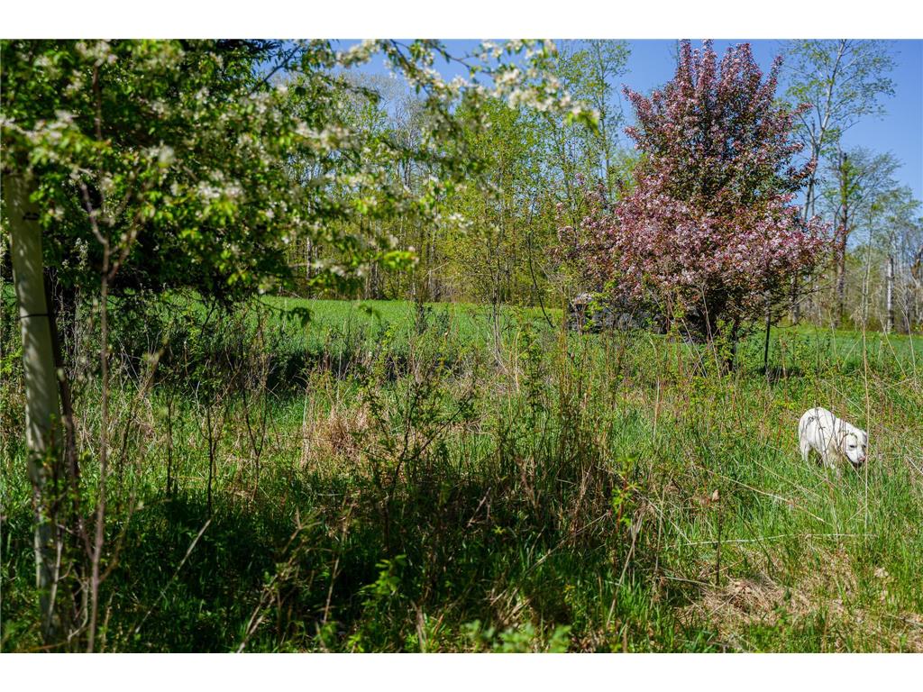 TBD 140th Street Evergreen Twp MN 56544 7085728 image44