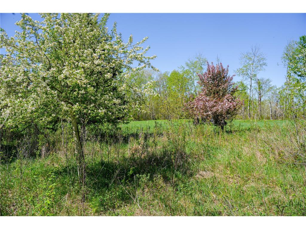 TBD 140th Street Evergreen Twp MN 56544 7085728 image45
