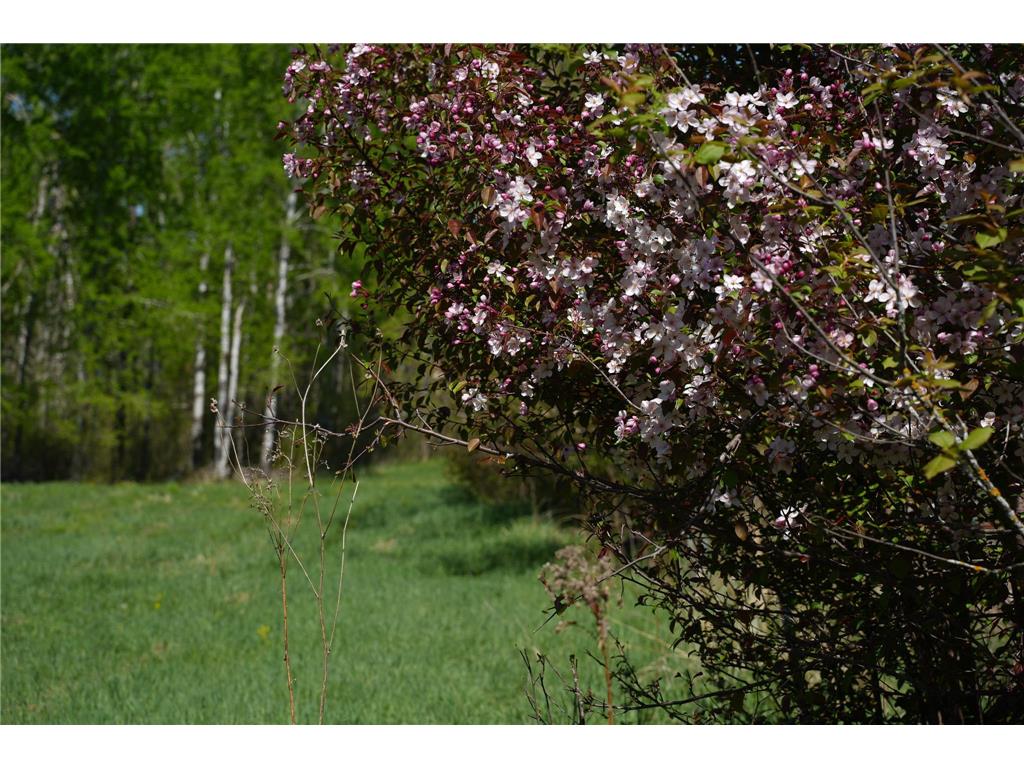 TBD 140th Street Evergreen Twp MN 56544 7085728 image46