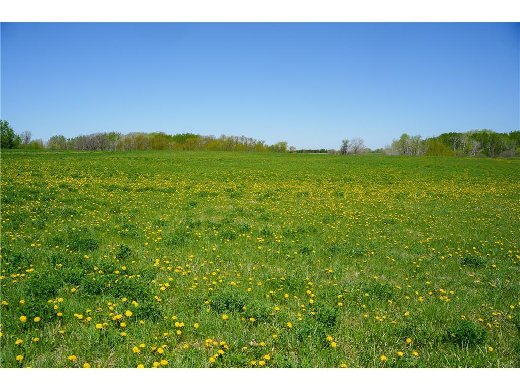 TBD 140th Street Evergreen Twp MN 56544 7085728 image49