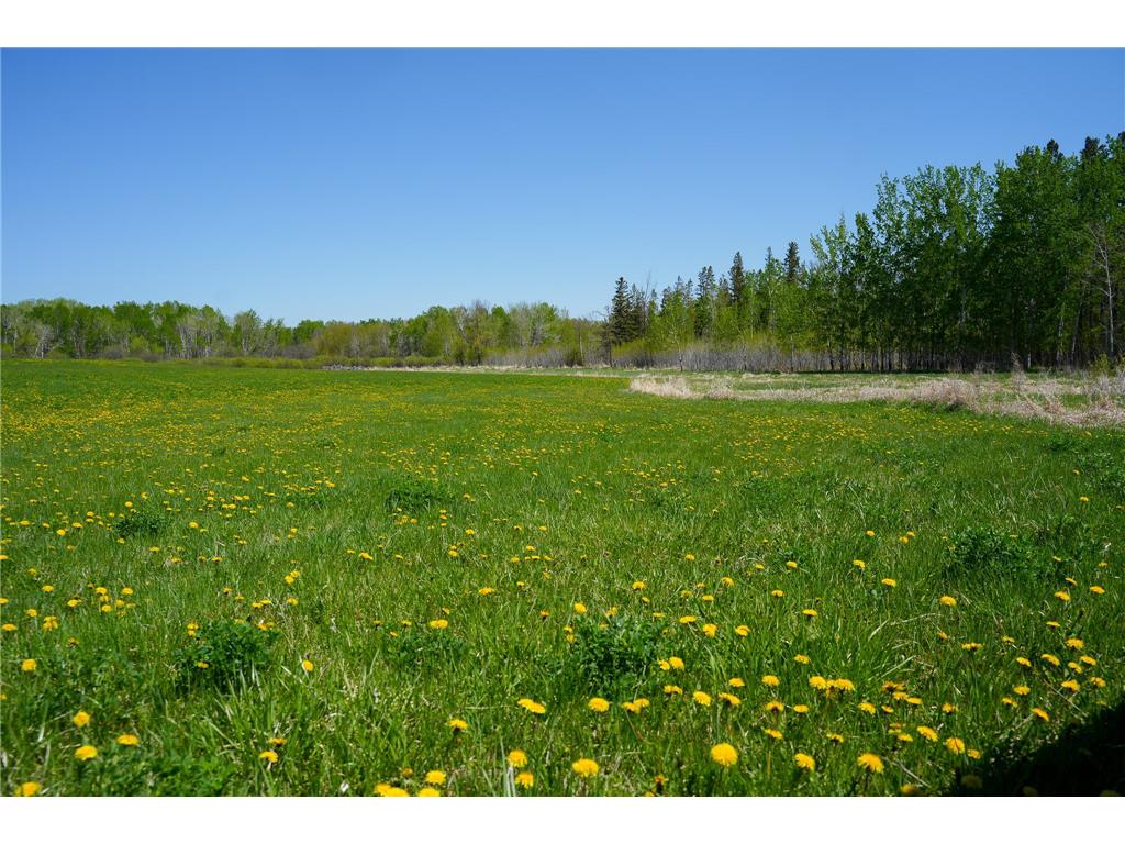 TBD 140th Street Evergreen Twp MN 56544 7085728 image50