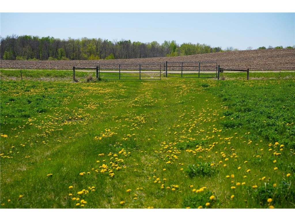TBD 140th Street Evergreen Twp MN 56544 7085728 image51