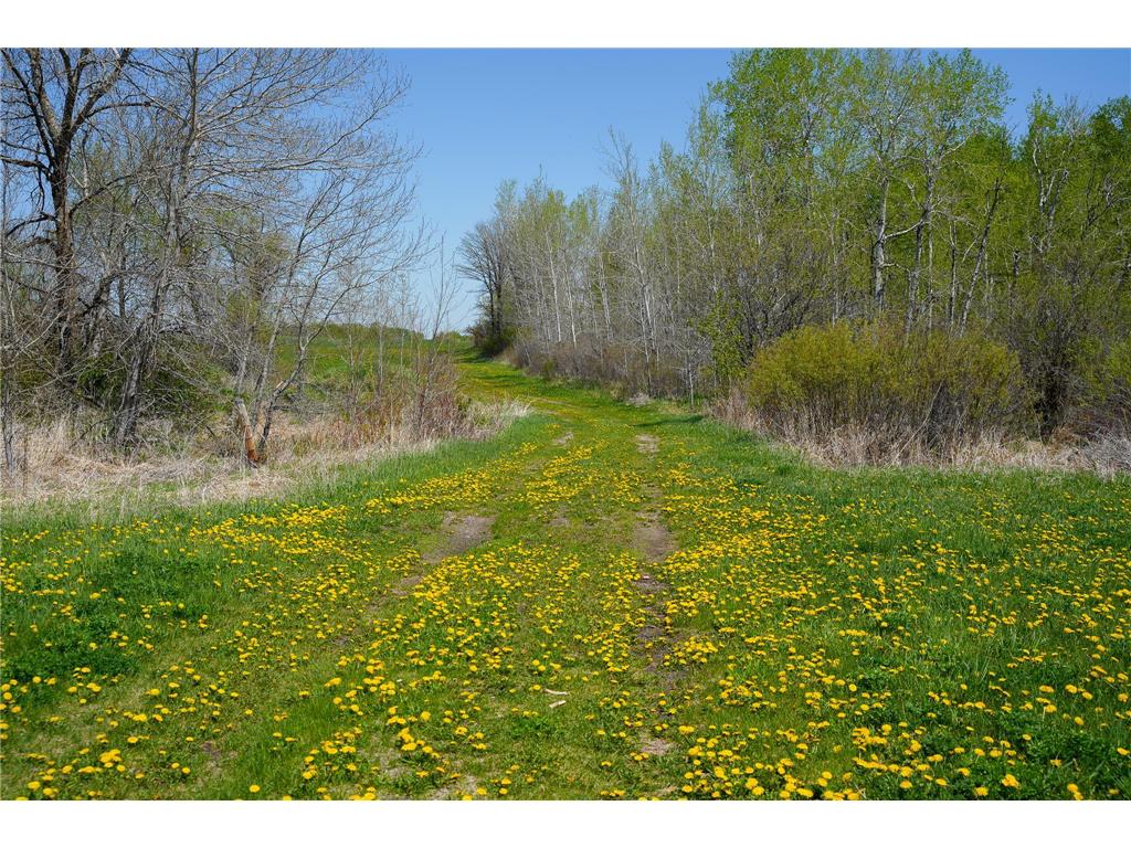 TBD 140th Street Evergreen Twp MN 56544 7085728 image52