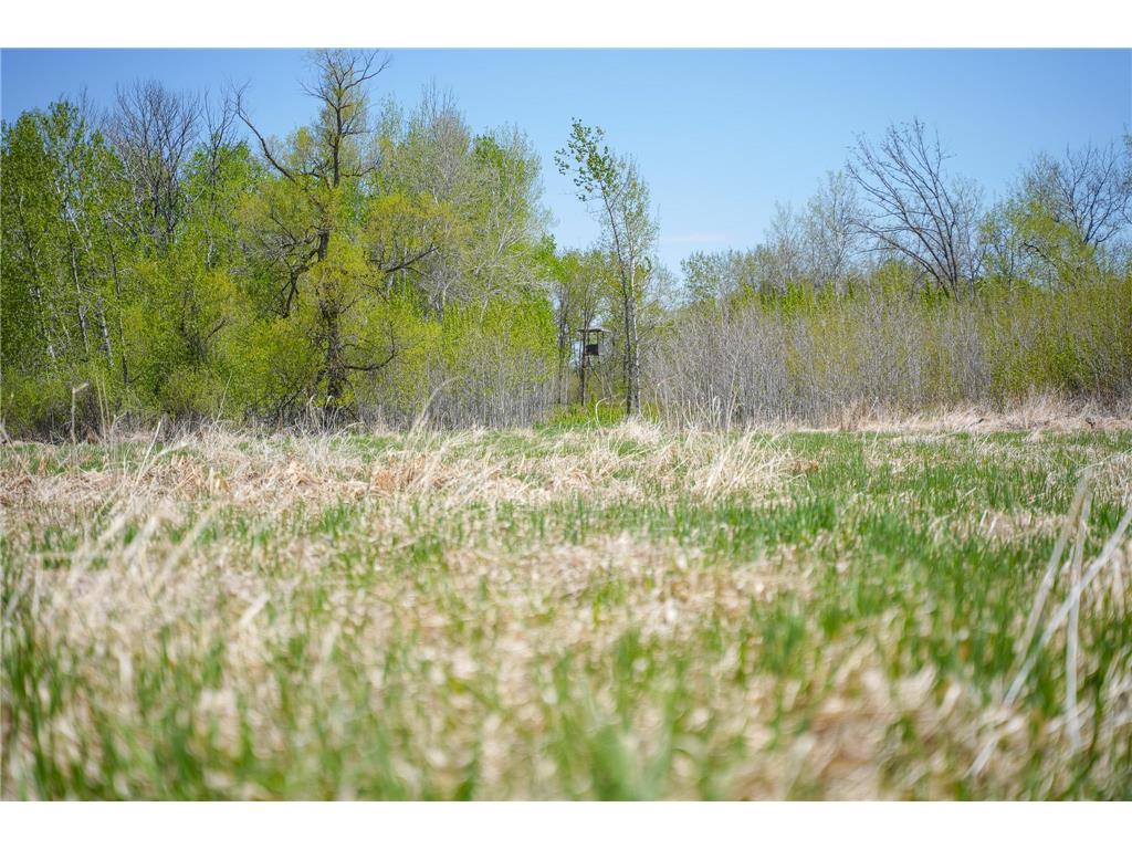 TBD 140th Street Evergreen Twp MN 56544 7085728 image53