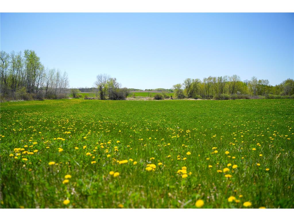 TBD 140th Street Evergreen Twp MN 56544 7085728 image55