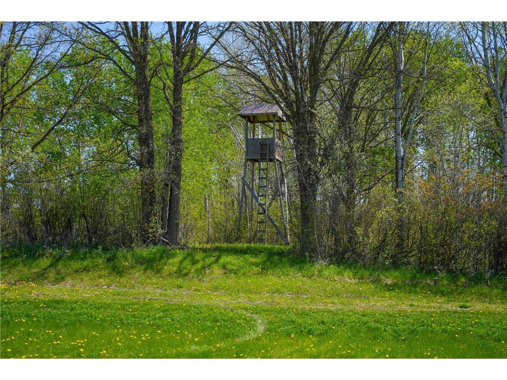 TBD 140th Street Evergreen Twp MN 56544 7085728 image56