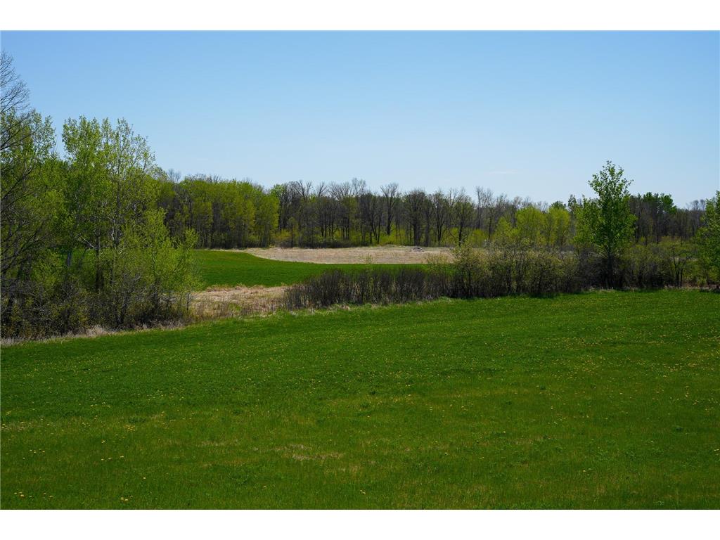 TBD 140th Street Evergreen Twp MN 56544 7085728 image58