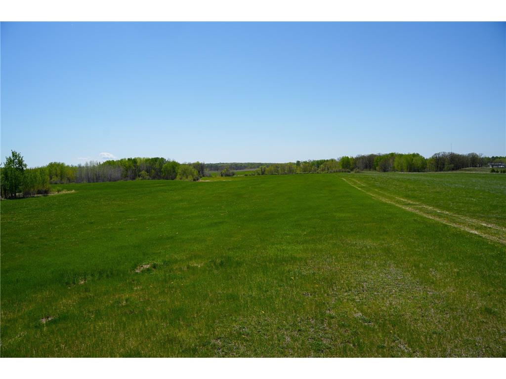 TBD 140th Street Evergreen Twp MN 56544 7085728 image59