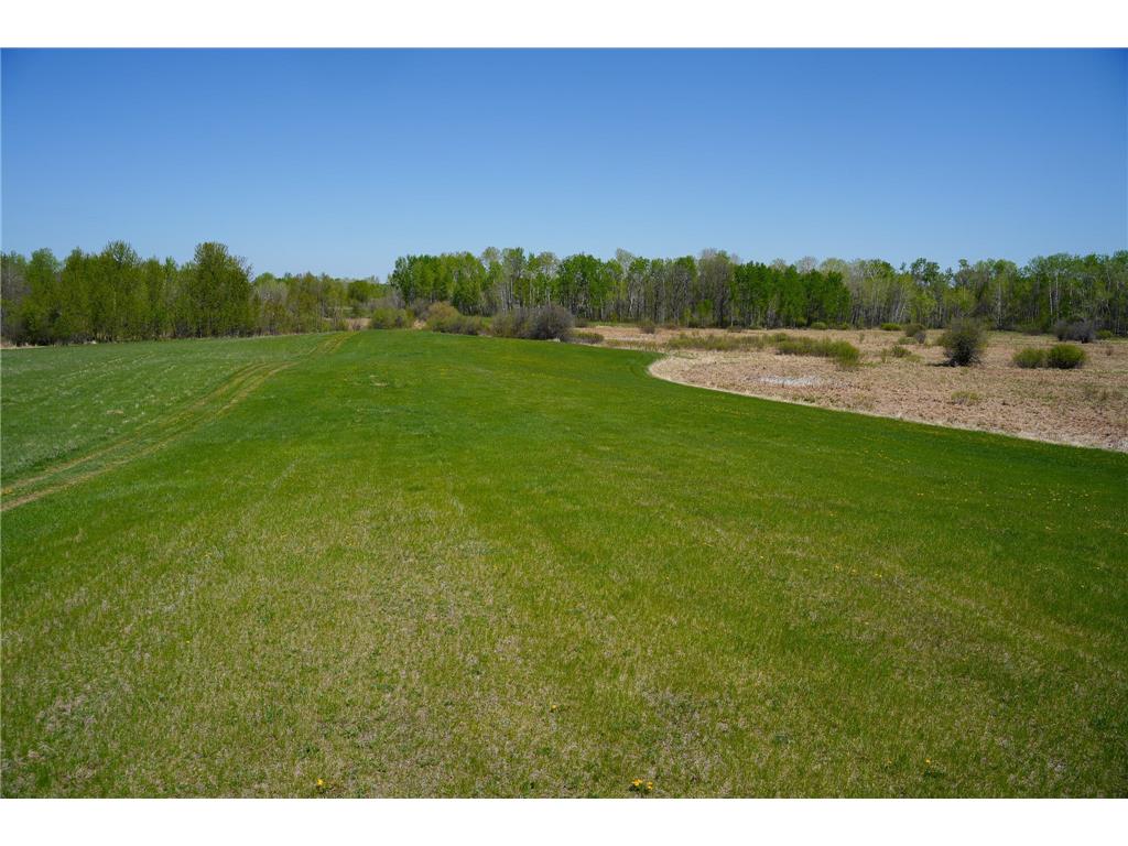 TBD 140th Street Evergreen Twp MN 56544 7085728 image60