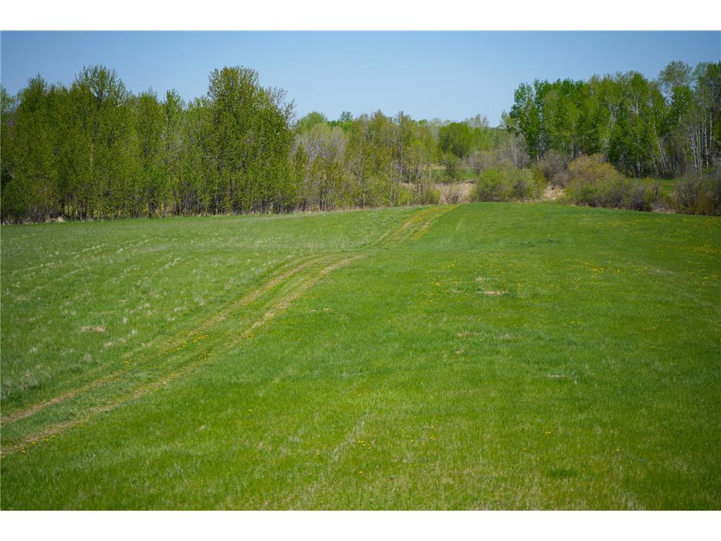 TBD 140th Street Evergreen Twp MN 56544 7085728 image61