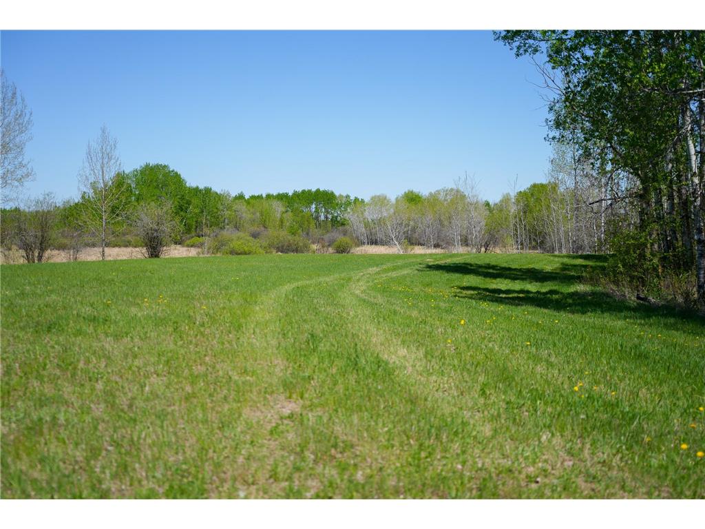 TBD 140th Street Evergreen Twp MN 56544 7085728 image62