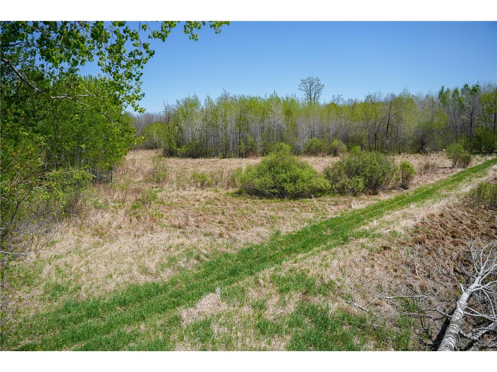 TBD 140th Street Evergreen Twp MN 56544 7085728 image65