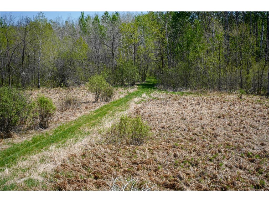 TBD 140th Street Evergreen Twp MN 56544 7085728 image66