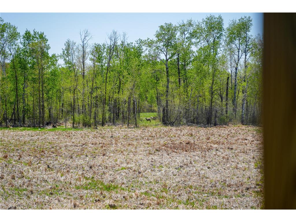 TBD 140th Street Evergreen Twp MN 56544 7085728 image67