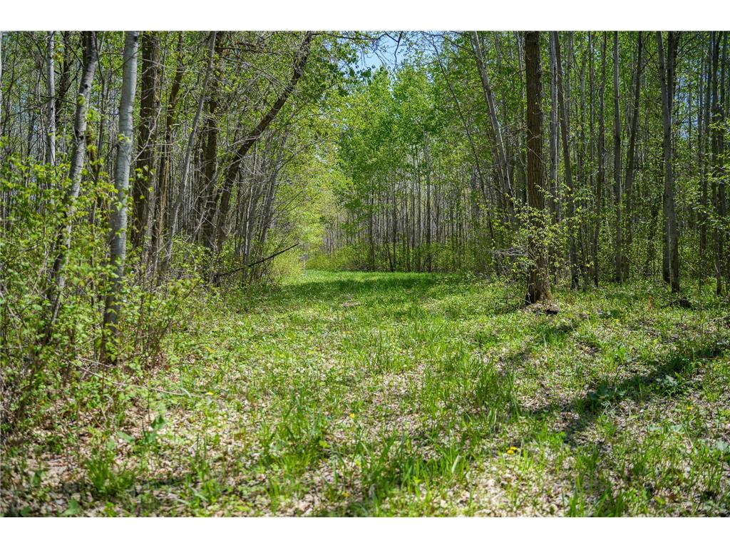 TBD 140th Street Evergreen Twp MN 56544 7085728 image68