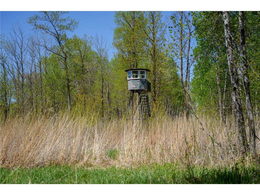 TBD 140th Street Evergreen Twp MN 56544 7085728 image69