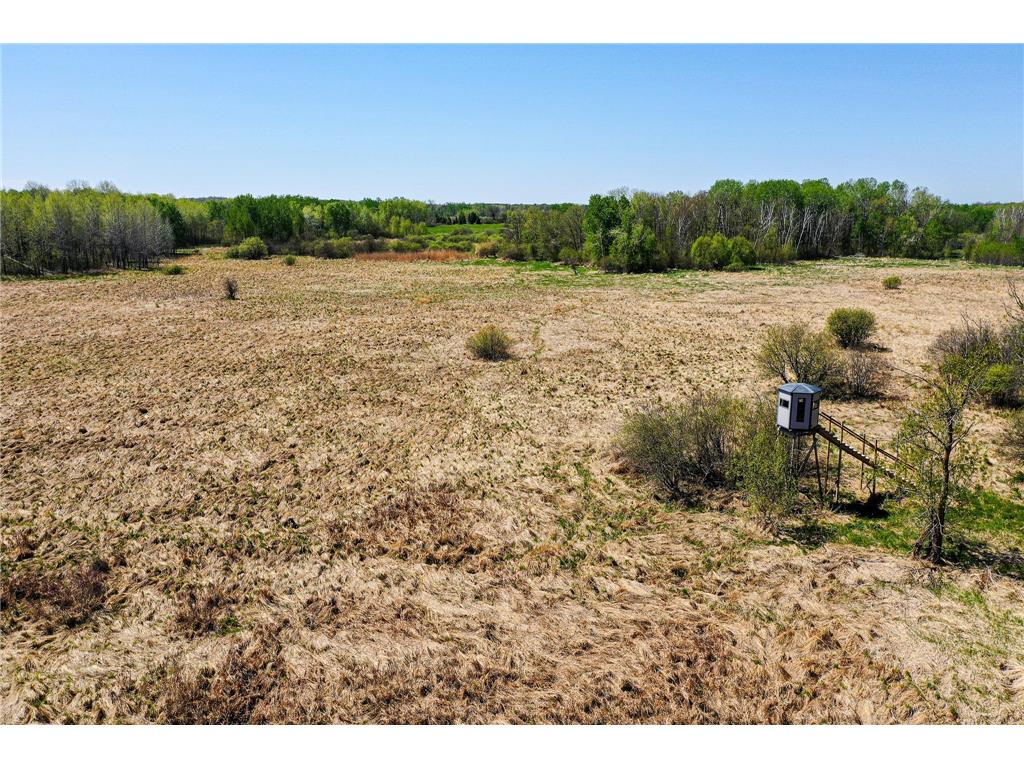 TBD 140th Street Evergreen Twp MN 56544 7085728 image7
