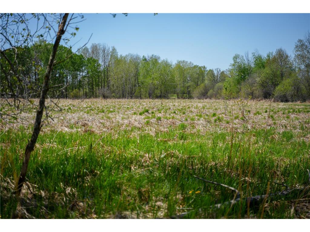 TBD 140th Street Evergreen Twp MN 56544 7085728 image70