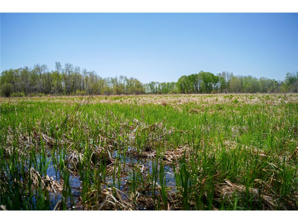 TBD 140th Street Evergreen Twp MN 56544 7085728 image71