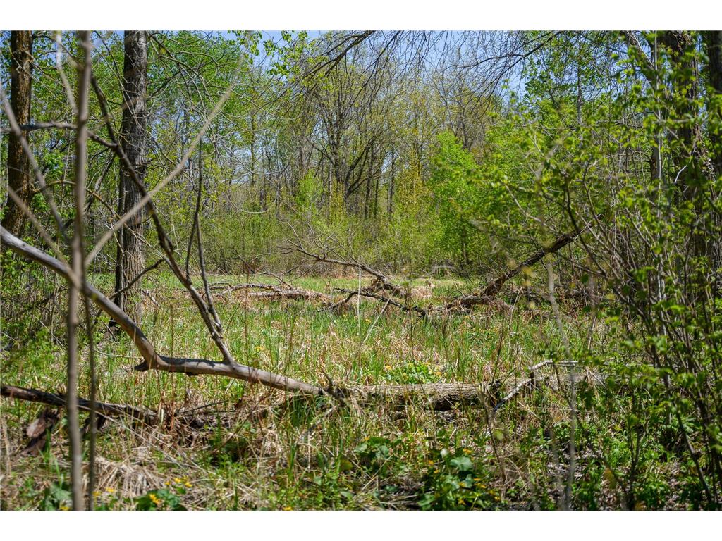 TBD 140th Street Evergreen Twp MN 56544 7085728 image73