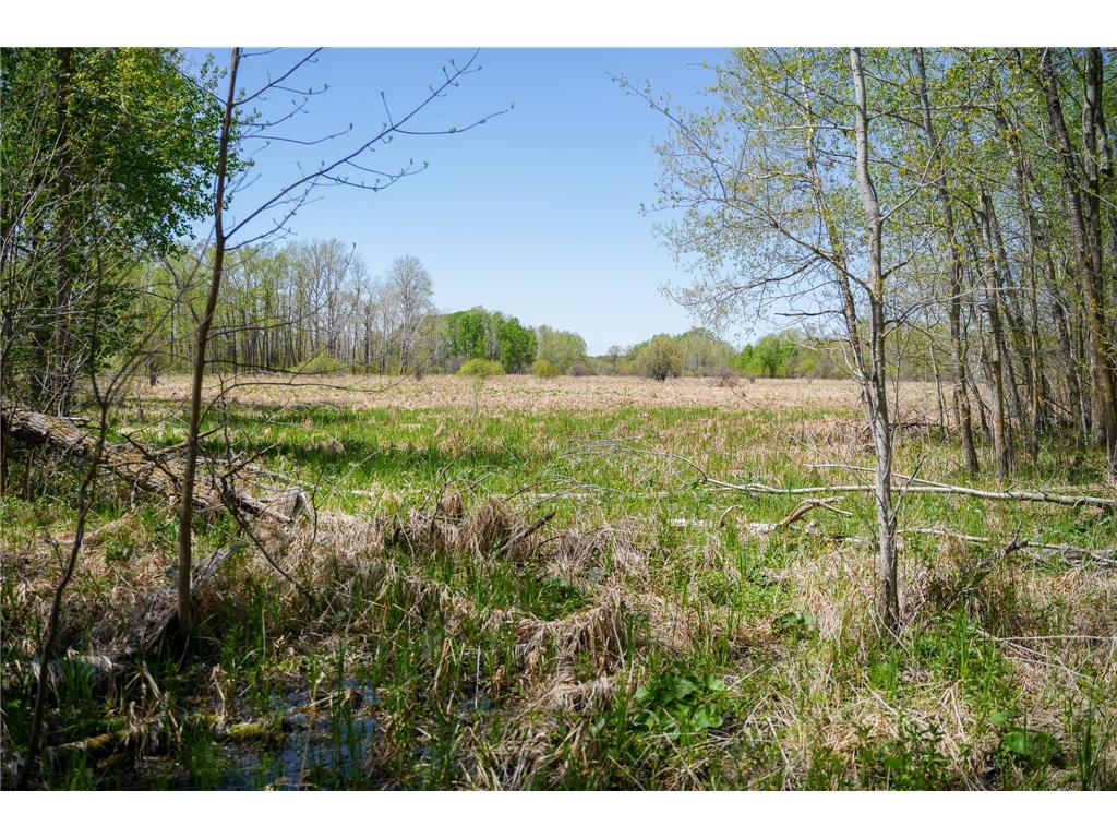 TBD 140th Street Evergreen Twp MN 56544 7085728 image74