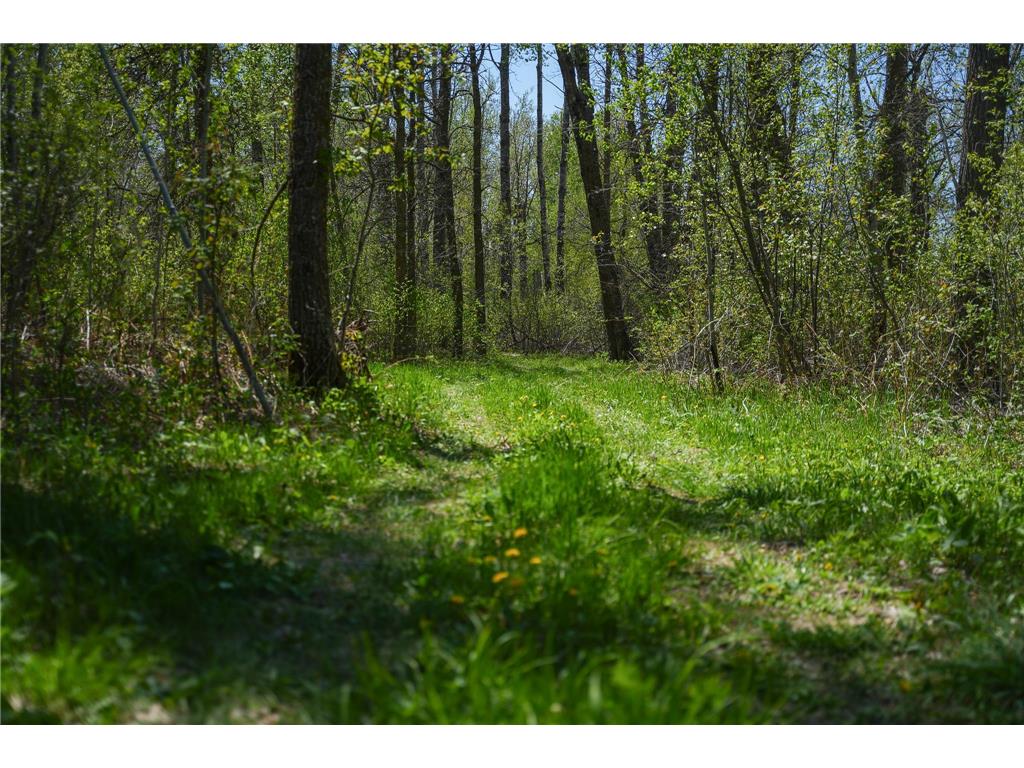 TBD 140th Street Evergreen Twp MN 56544 7085728 image75