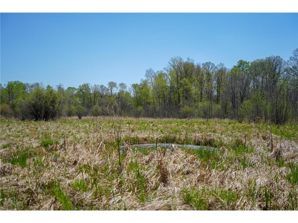 TBD 140th Street Evergreen Twp MN 56544 7085728 image77