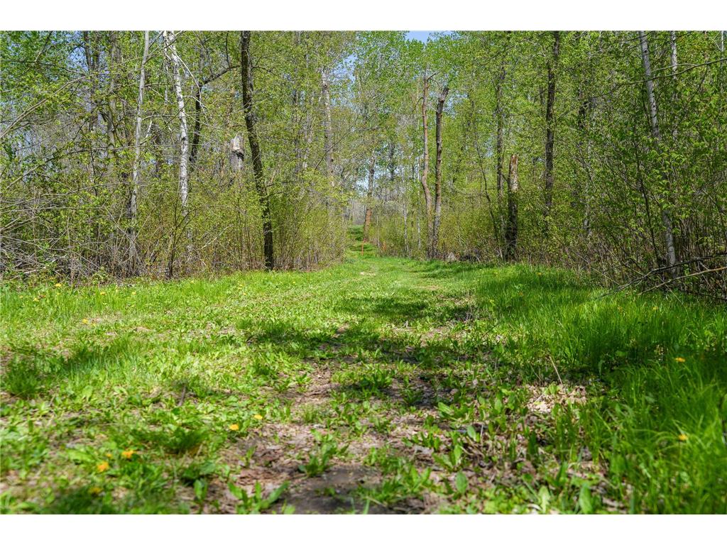 TBD 140th Street Evergreen Twp MN 56544 7085728 image80