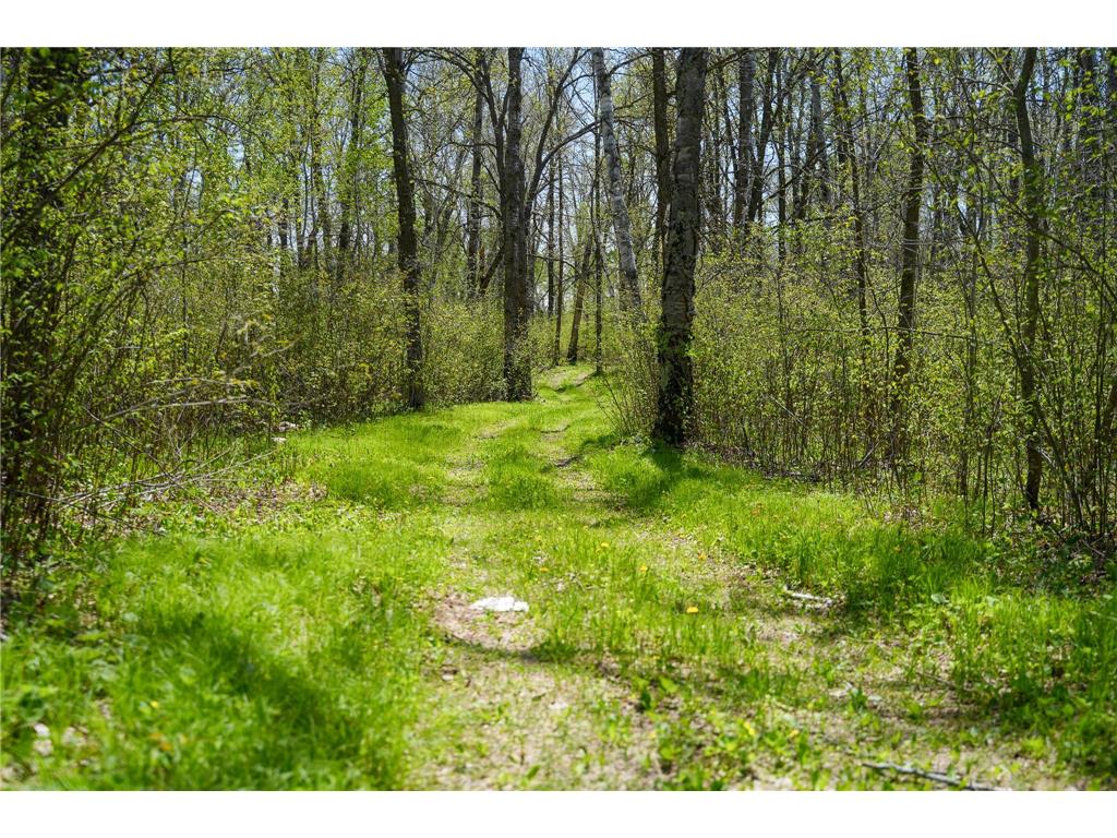 TBD 140th Street Evergreen Twp MN 56544 7085728 image85