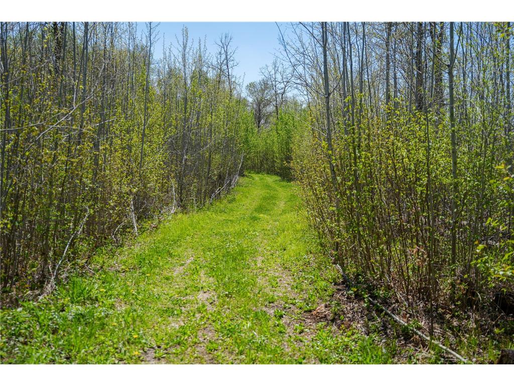 TBD 140th Street Evergreen Twp MN 56544 7085728 image90