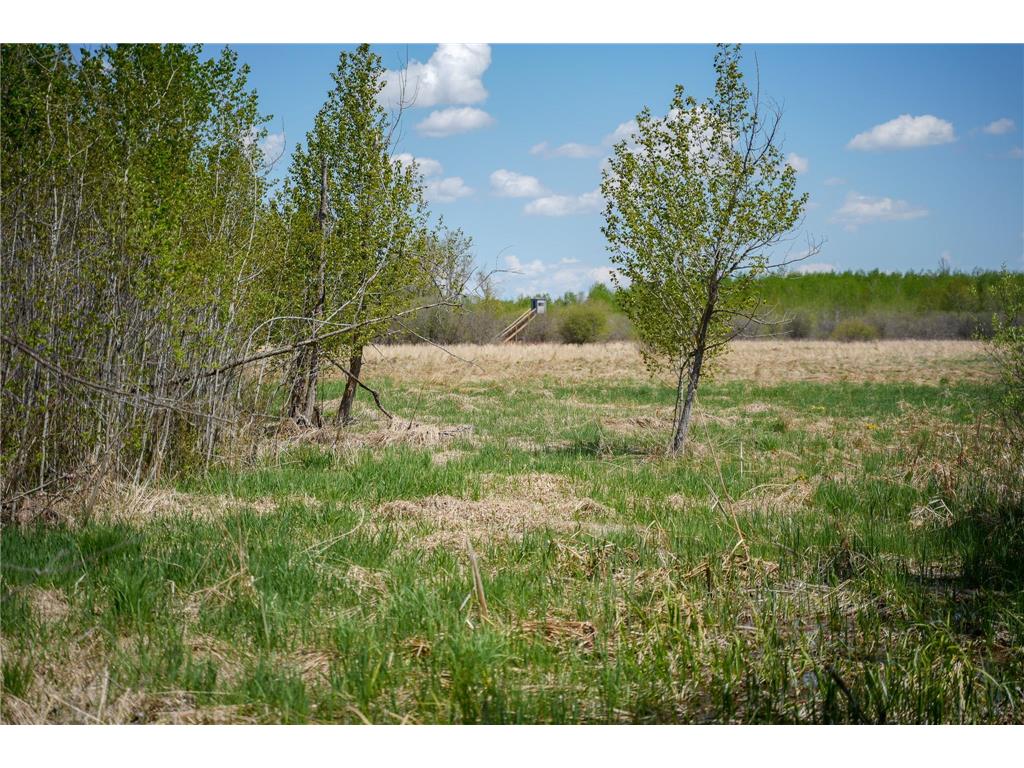 TBD 140th Street Evergreen Twp MN 56544 7085728 image91