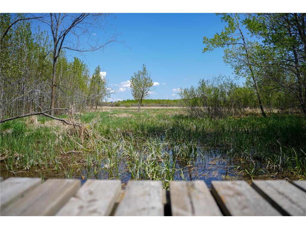 TBD 140th Street Evergreen Twp MN 56544 7085728 image92
