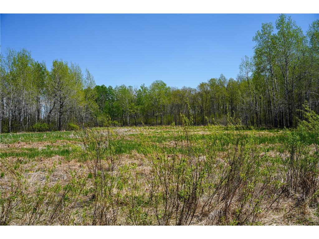 TBD 140th Street Evergreen Twp MN 56544 7085728 image95