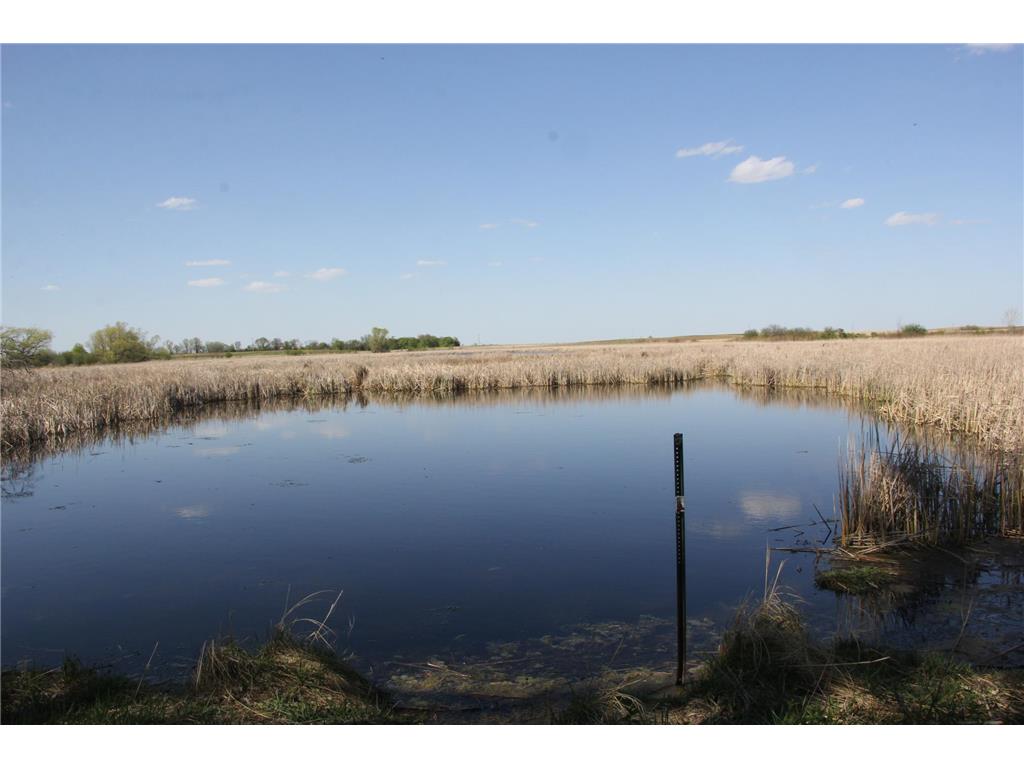 TBD 140th Street Fortier Twp MN 56220 7078833 image20