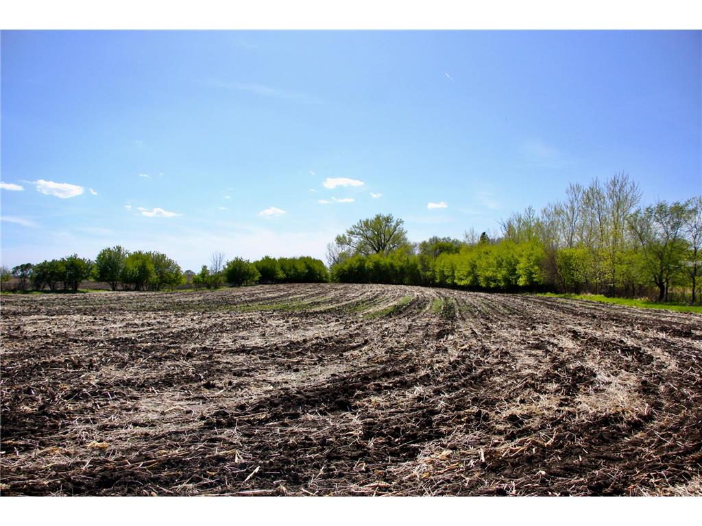 TBD 140th Street Fortier Twp MN 56220 7078833 image4