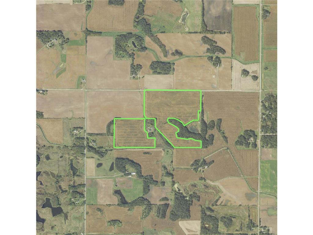TBD 140th Street Freeman Twp MN 56036 7052896 image1