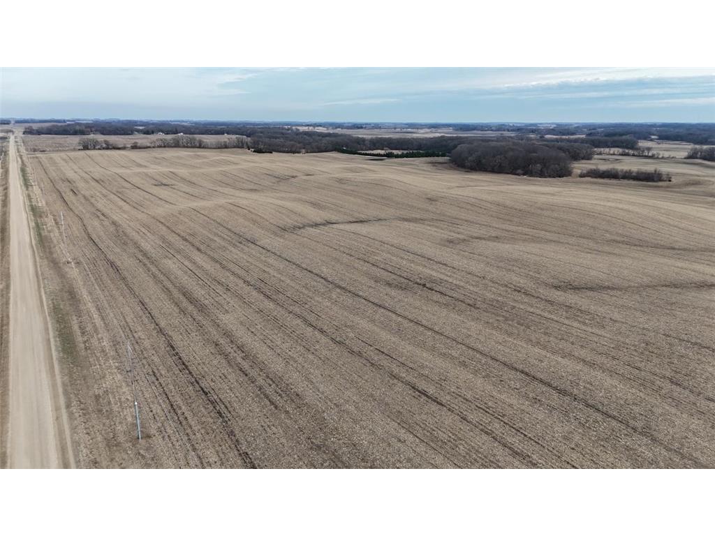 TBD 140th Street Freeman Twp MN 56036 7052896 image10