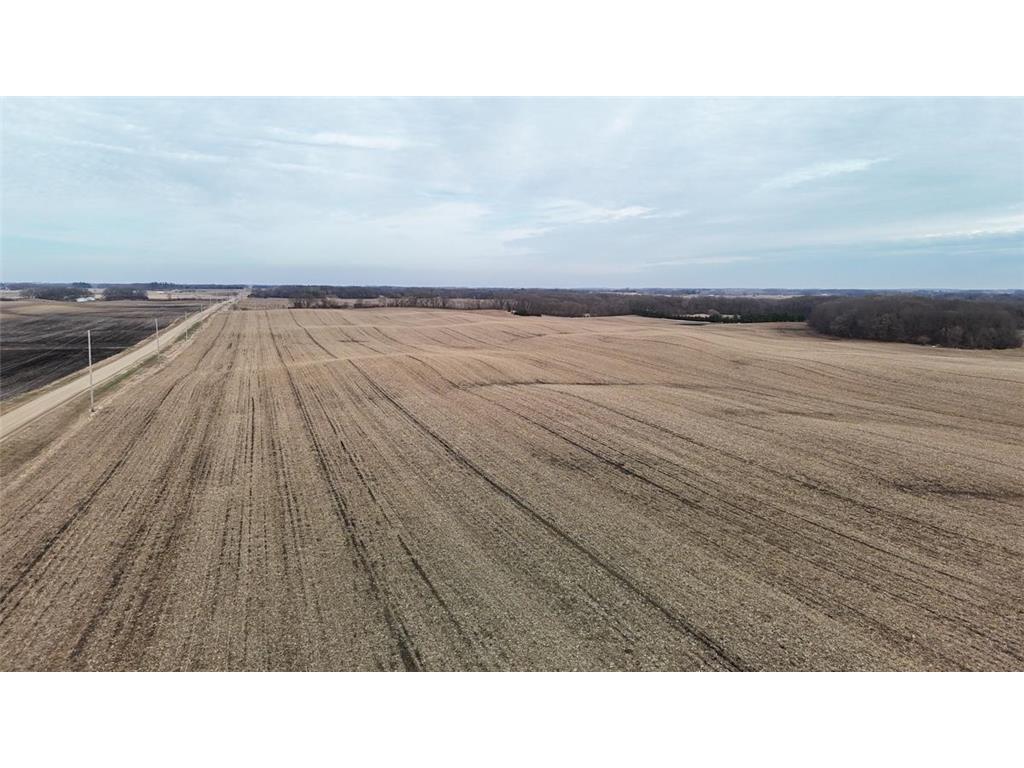 TBD 140th Street Freeman Twp MN 56036 7052896 image11