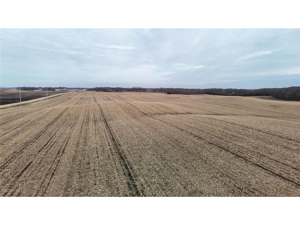 TBD 140th Street Freeman Twp MN 56036 7052896 image12