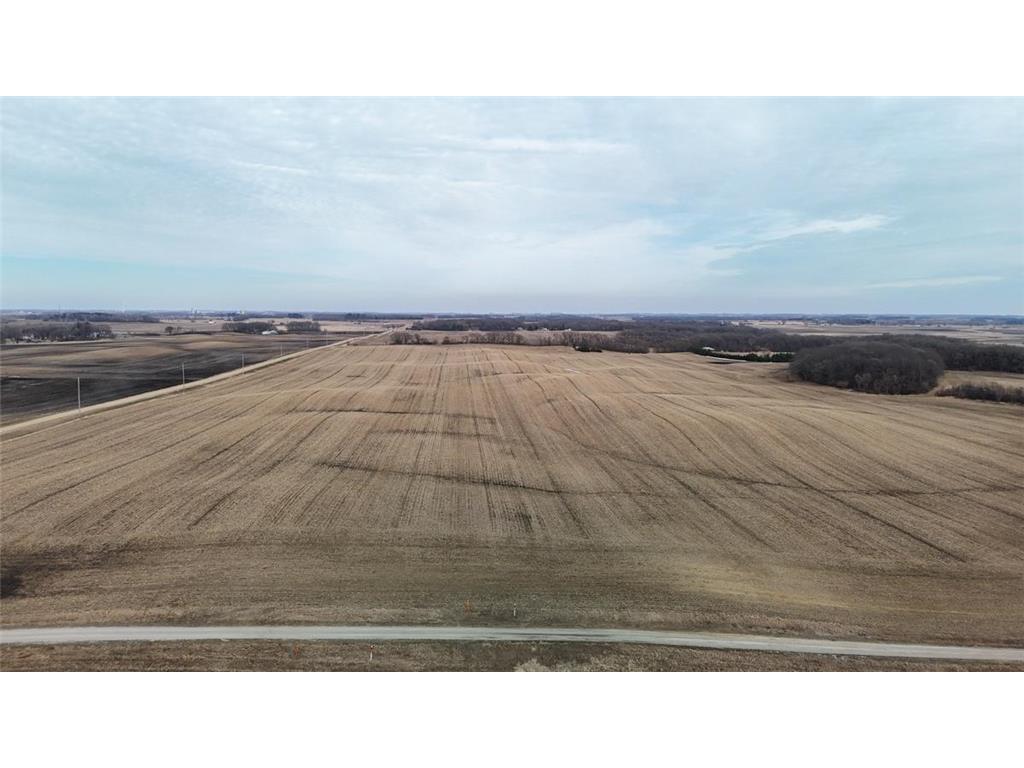 TBD 140th Street Freeman Twp MN 56036 7052896 image6