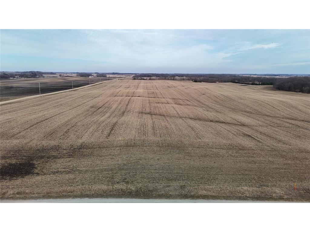 TBD 140th Street Freeman Twp MN 56036 7052896 image8