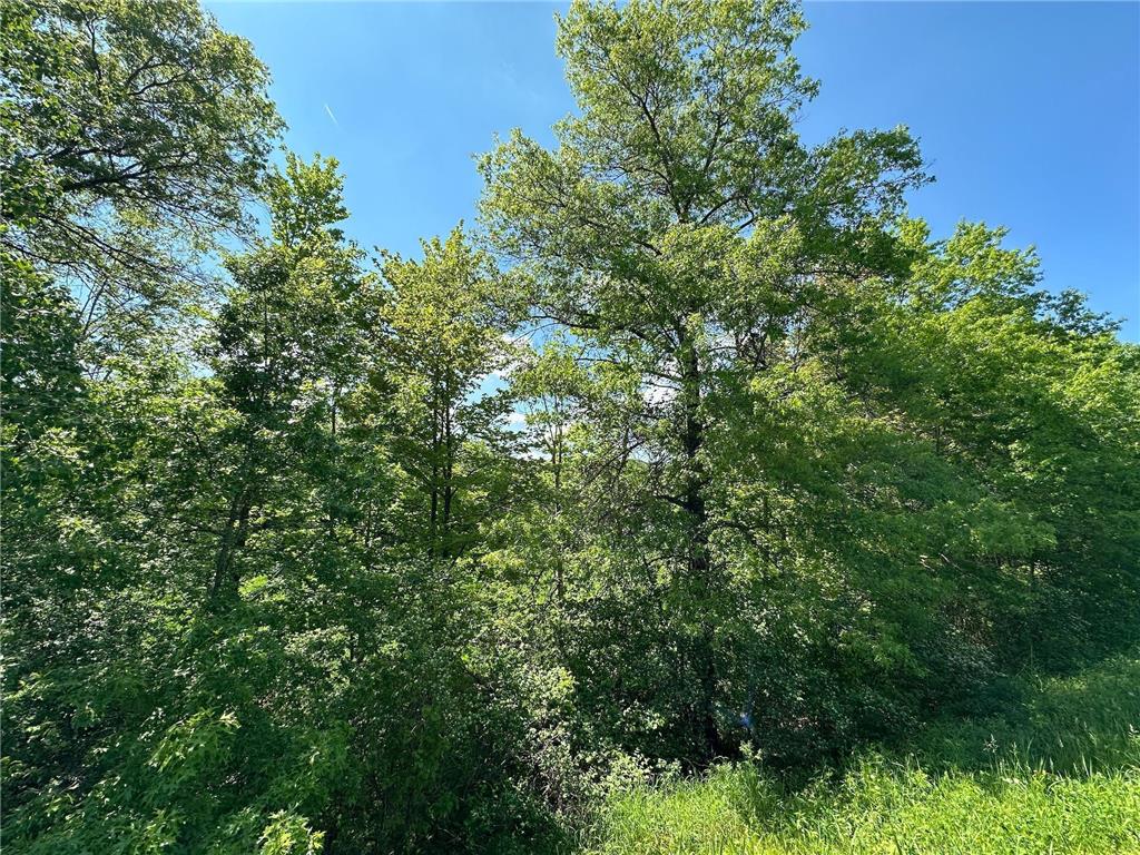 TBD 140th Street Garfield Twp WI 54001 6683740 image1