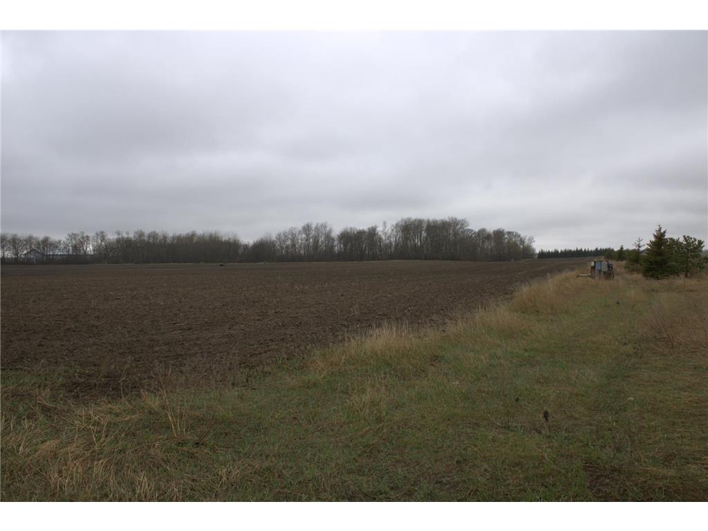 TBD 141st Ave Verndale MN 56481 6366561 image1