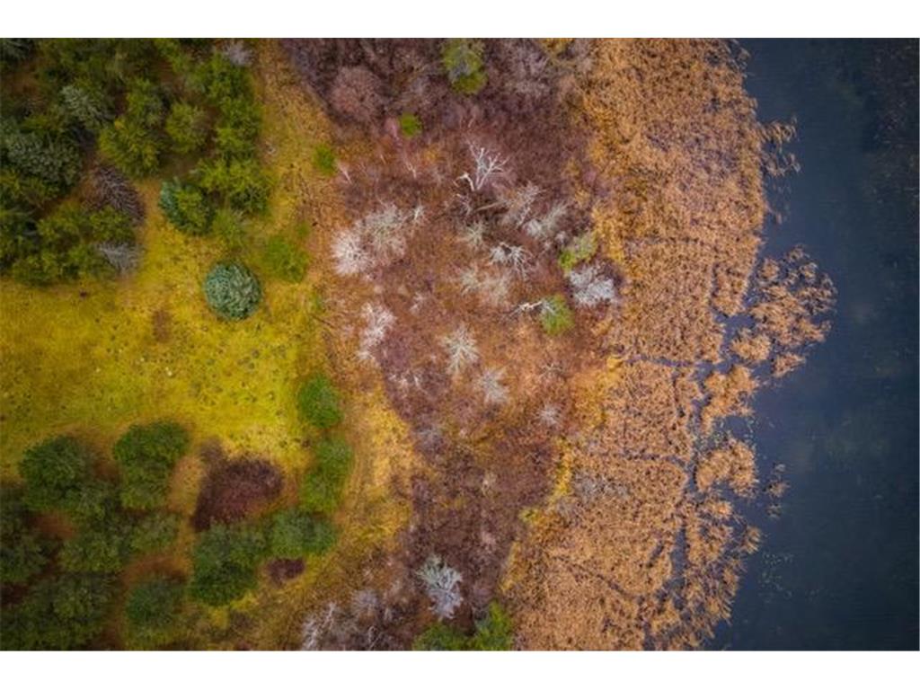 TBD 141st Avenue Bagley MN 56621 - MINNOW 6814336 image25